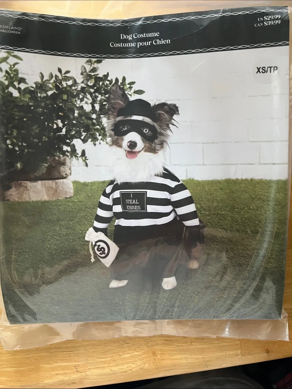 Ashland Black and White Striped Dog Thief Costume